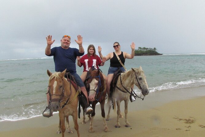 Puerto Plata City Horseback Riding Tour ,Rios,Beaches and Countryside - Price and Value: Is $58 a Smart Deal Here?