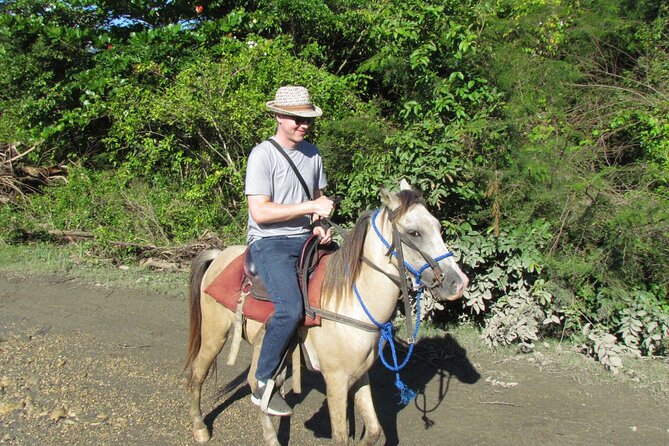 Puerto Plata City Horseback Riding Tour ,Rios,Beaches and Countryside - Who This Puerto Plata Tour Fits Best