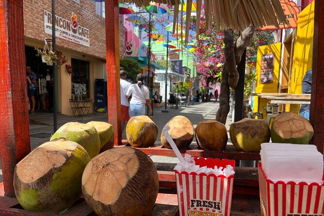 Puerto Plata City Private Tour - Comfort, timing, and walking around town