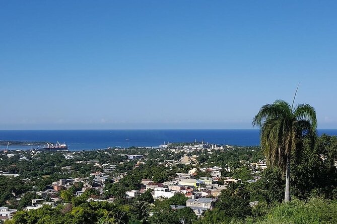 Puerto Plata City Tour - at Amber Cove & Taino bay - The rum stops: tastings plus a real look at production