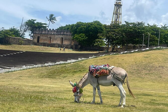 Puerto Plata City Tour Ron Puros Culture and History - Fortaleza San Felipe: the 16th-century fortress that sets the mood