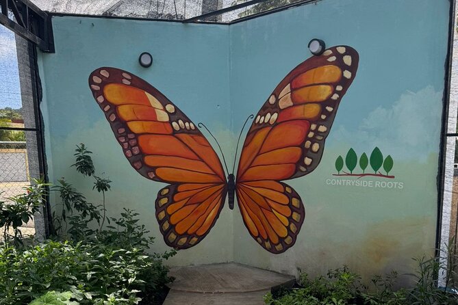 Puerto Plata City Tour with Butterfly Garden - A solid 4-hour Puerto Plata loop that does not waste time