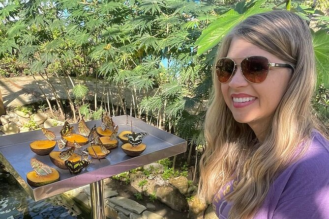 Puerto Plata City Tour with Butterfly Garden - Catedral San Felipe and the pink Paseo de Doña Blanca