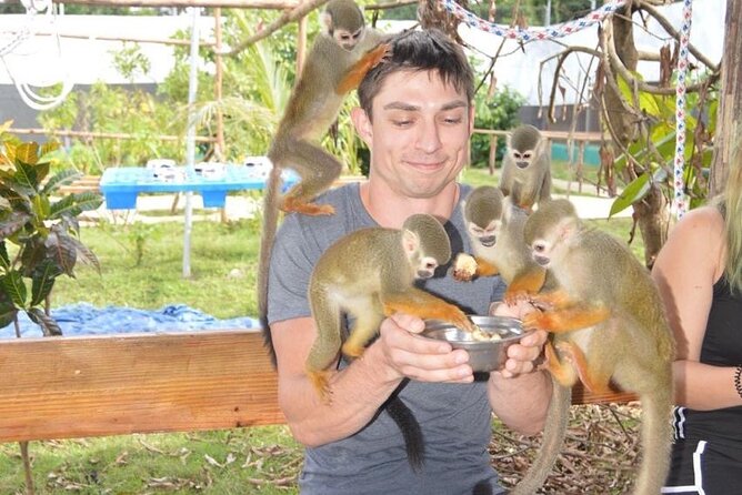 Puerto Plata City Tour with Monkeys - Key Points You Should Know Before You Go
