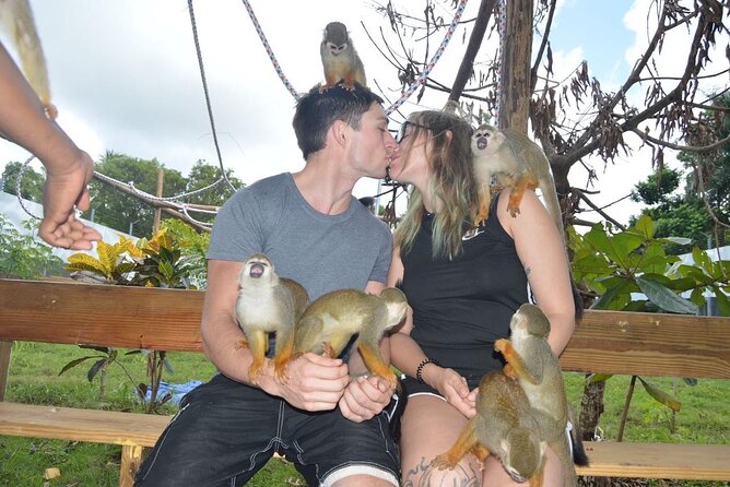 Puerto Plata City Tour with Monkeys - A Smart Half-Day Combo: Town Sights Plus Animal Time