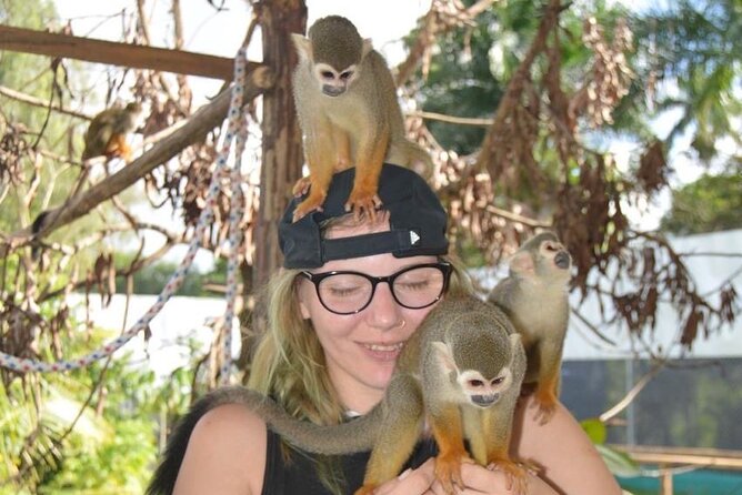 Puerto Plata City Tour with Monkeys - Price and Value: Does $99 Make Sense for This Morning?