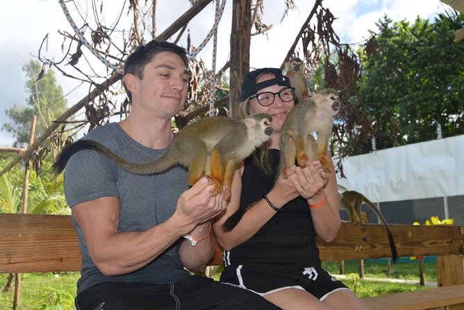 Puerto Plata City Tour with Monkeys - Who This Tour Is Best For (and Who Might Skip It)