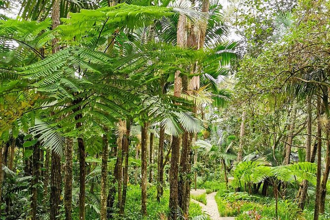 Puerto Plata City Tour with the Mount Isabel, Rum & Chocolate - Puerto Plata Cable Car area: big views, updated transport plan