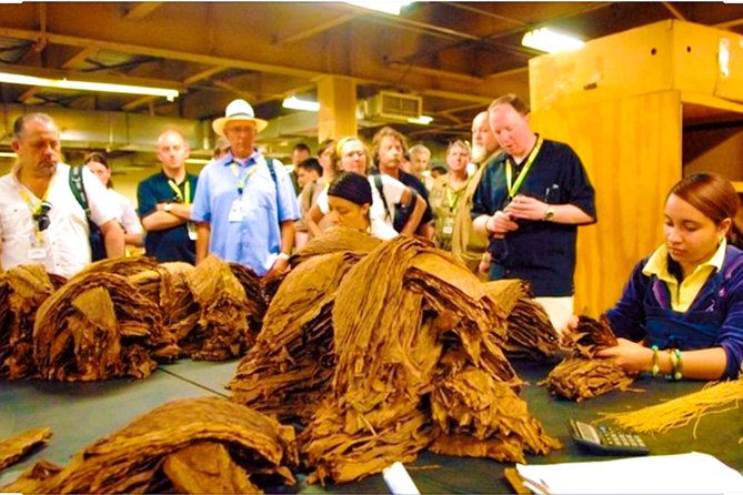 Puerto Plata City Tours - Choc Lovers DR: The Organic Chocolate Stop You Can Actually Enjoy