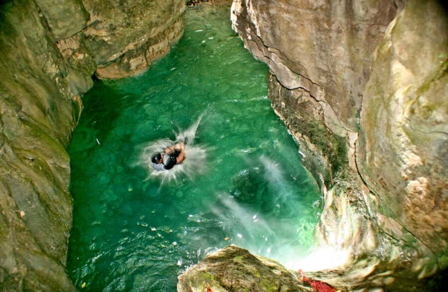 Puerto Plata: Damajagua Waterfalls Full-Day Adventure - The Rainforest Trail, Wildlife, and Why This Part Matters