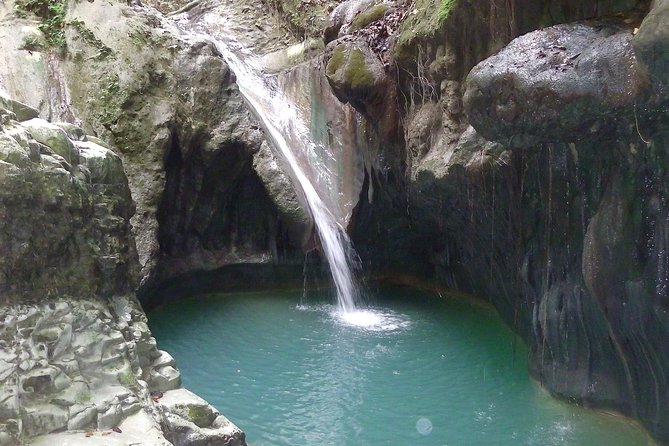 Puerto Plata: Damajagua waterfalls + Safari buggy + Horseback riding (TOP3IN1) - Lunch buffet, bottled water, and the real value of what’s included