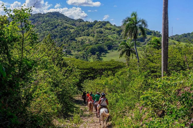 Puerto Plata: Damajagua waterfalls + Safari buggy + Horseback riding (TOP3IN1) - Damajagua Waterfalls: the rainforest walk, first falls, and swim time