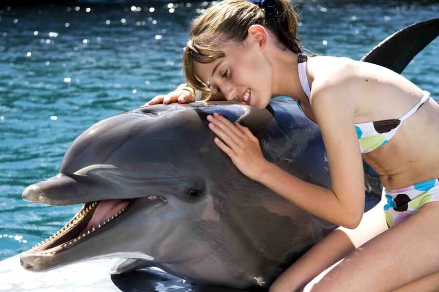 Puerto Plata: Dolphin Encounter at Ocean World - Key highlights you should know
