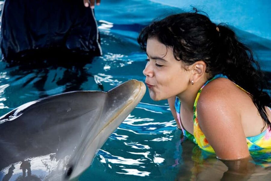 Puerto Plata: Dolphin Encounter at Ocean World - Why this Ocean World dolphin day feels different