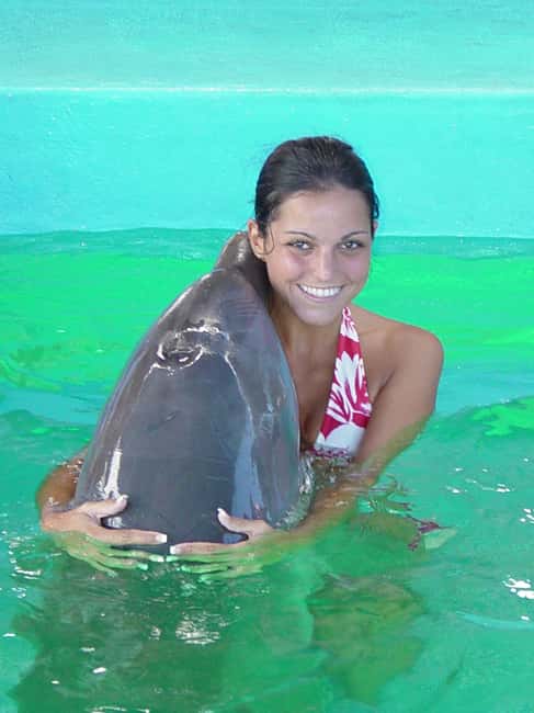 Puerto Plata: Dolphin Encounter at Ocean World - Snorkeling in the Tropical Reef Aquarium, expectations check