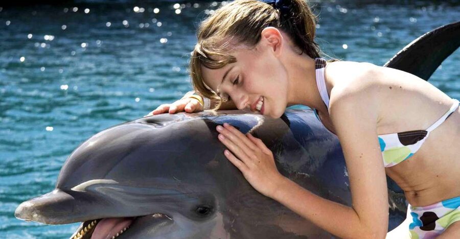 Puerto Plata: Dolphin Encounter at Ocean World - The animal shows: what you will actually see