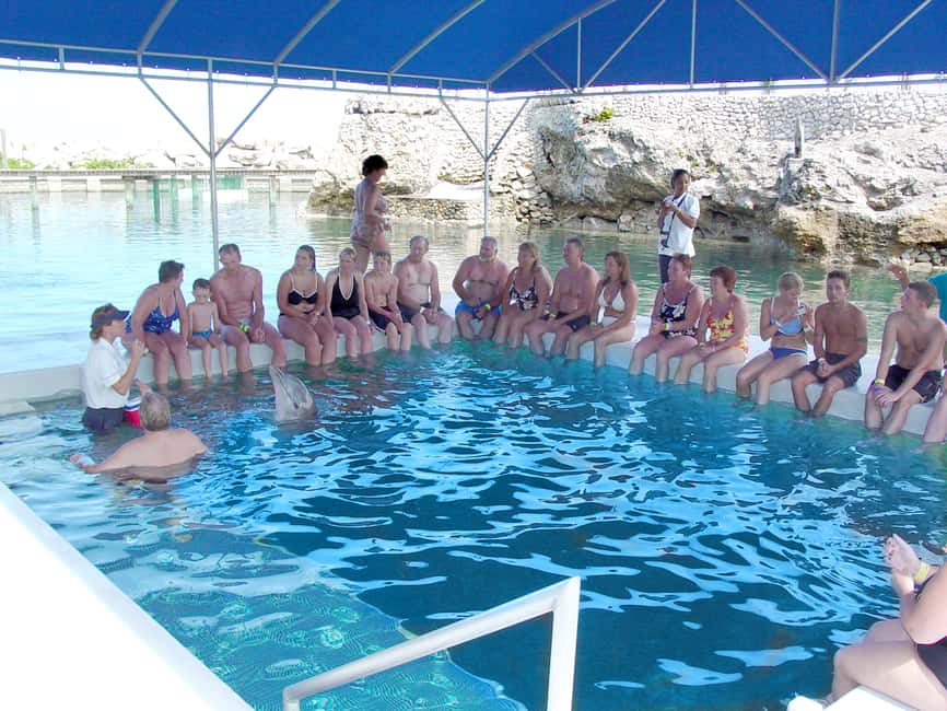 Puerto Plata: Dolphin Encounter at Ocean World - What to pack and the rules that affect your experience