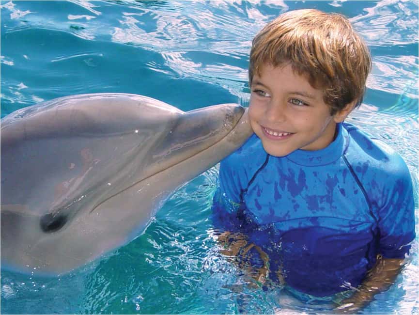 Puerto Plata: Dolphin Encounter at Ocean World - Your schedule at Ocean World, lecture to dolphin beach