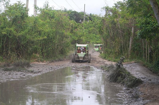 Puerto Plata Dune Buggy Adventure - Amber cove & Taino Bay - Guides, Language, and How to Get the Most Out of the Info