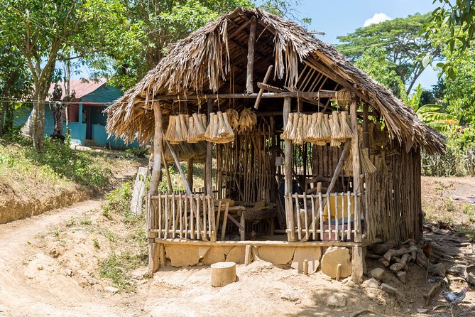 Puerto Plata: Escapada Cultural Tour in Puerto Plata - Price and What Makes This Feel Like Good Value