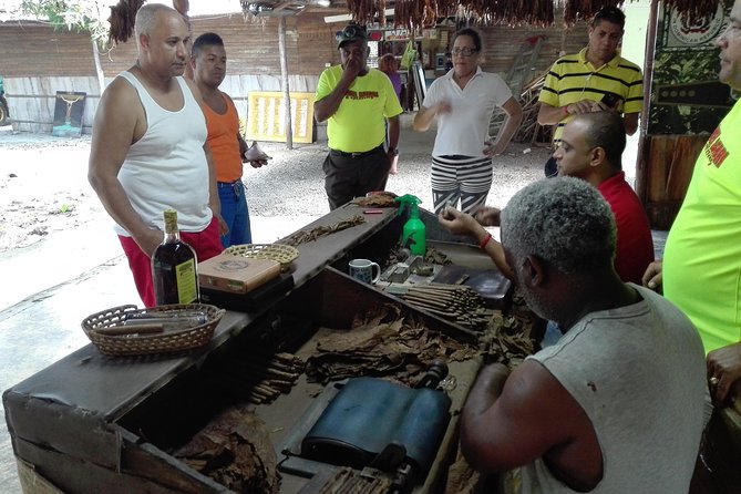 Puerto Plata: Escapada Cultural Tour in Puerto Plata - Cacao Plantation, Chocolate Procedure, and Tasting