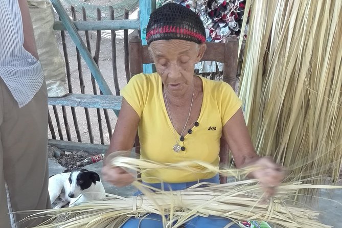 Puerto Plata: Escapada Cultural Tour in Puerto Plata - Pickup, Drop-Off, and How to Plan Your Day
