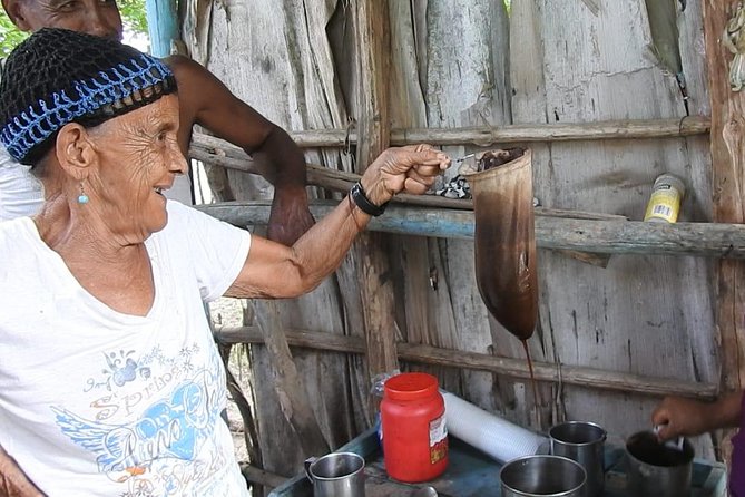 Puerto Plata: Escapada Cultural Tour in Puerto Plata - Tobacco Plantation Views and Artisanal Cigar Craft