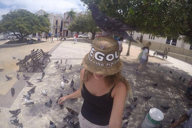 Puerto Plata Highlights and Resort Beach - Amber Cove & Taino Bay - Timing and cruise reality: getting back without stress