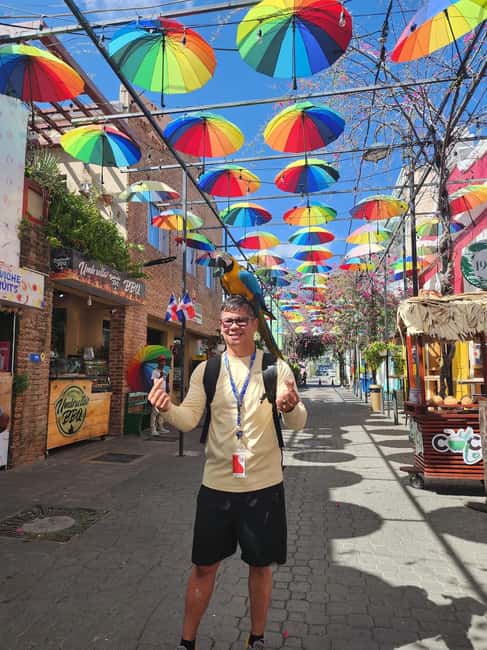 Puerto Plata: Monkey Tour, Fortress, and Historic Center - Key Points You’ll Care About in Puerto Plata