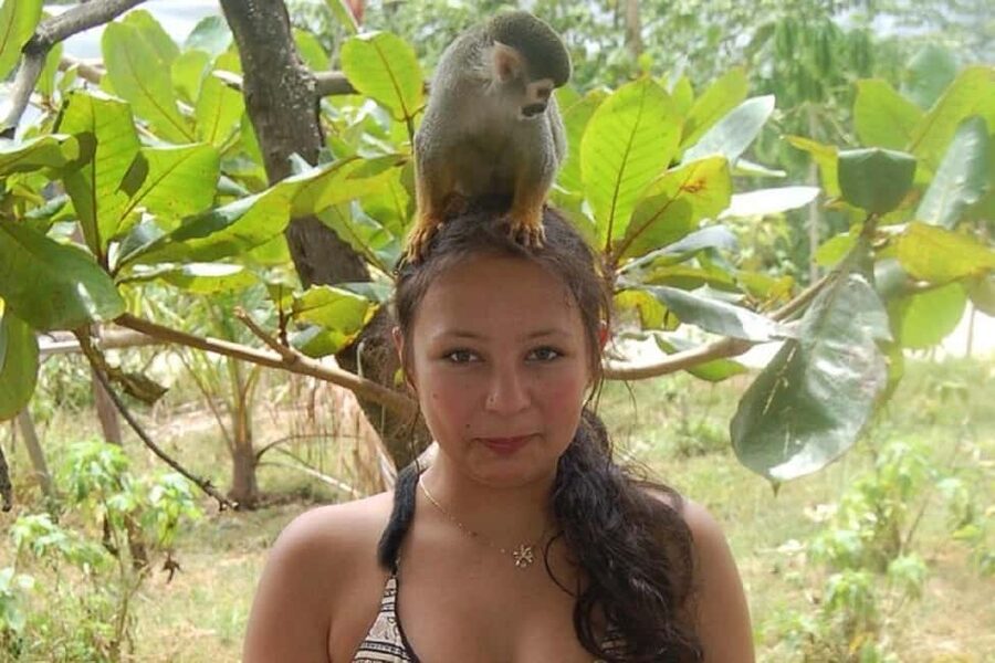 Puerto Plata: Monkey Tour, Fortress, and Historic Center - Comfort, Fitness, and Family Reality Checks