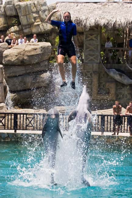 Puerto Plata: Ocean World Adventure Park Day Pass - Ocean World Puerto Plata: What You’re Actually Buying for $79