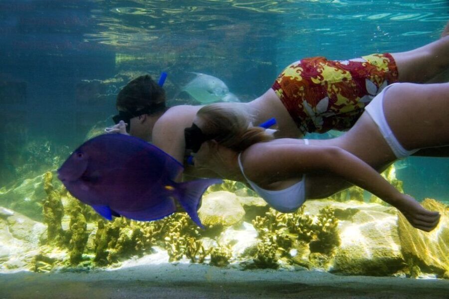 Puerto Plata: Ocean World Adventure Park Day Pass - Rainforest, Birds, and Iguanas: A Break From Just Watching Water