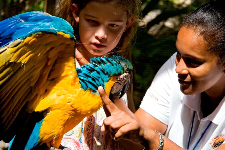 Puerto Plata: Ocean World Adventure Park Day Pass - Rules and Small Details That Affect Your Day