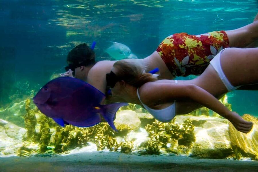 Puerto Plata: Ocean World Adventure Park Day Pass - Getting There From Puerto Plata Hotels (And Why Timing Can Matter)