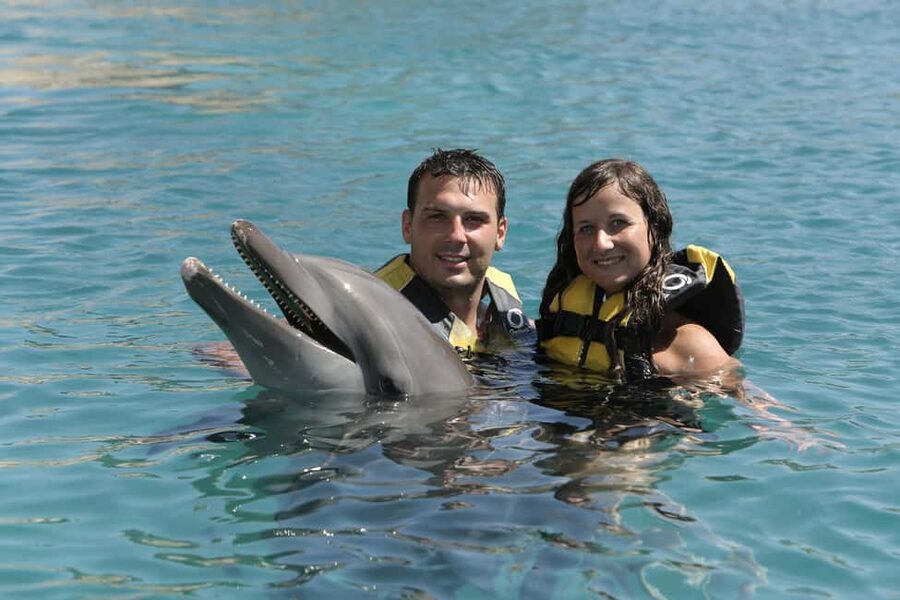 Puerto Plata Ocean World Dolphin Swim - Key highlights to know before you go