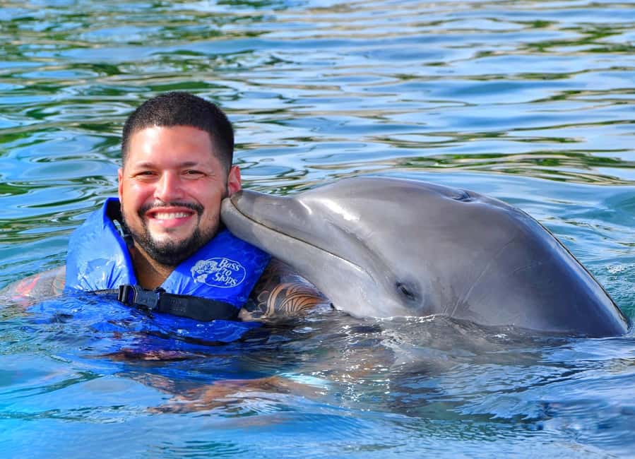 Puerto Plata Ocean World Dolphin Swim - Ocean World Puerto Plata: what you’re really paying for at $189