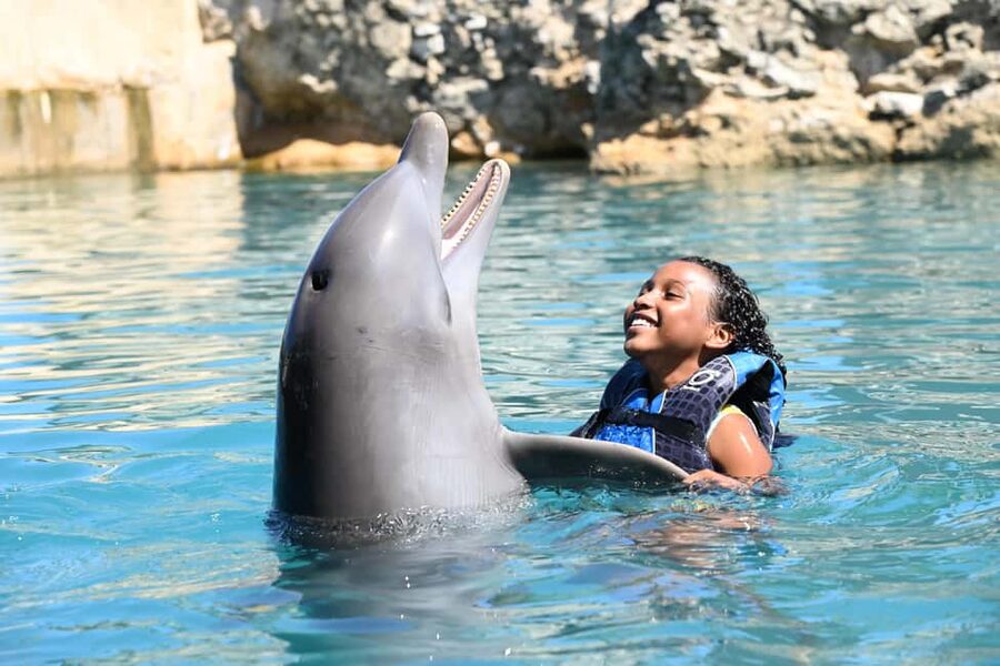 Puerto Plata Ocean World Dolphin Swim - The dolphin briefing: hand signals, positive reinforcement, and pool rules