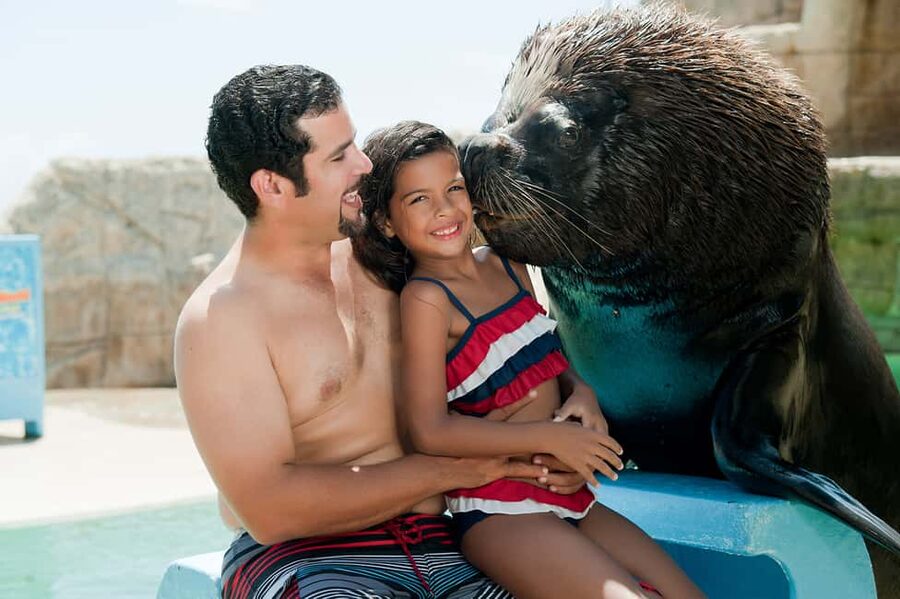 Puerto Plata Ocean World Tickets - Sea lions on your schedule: the 30-minute encounter and lecture