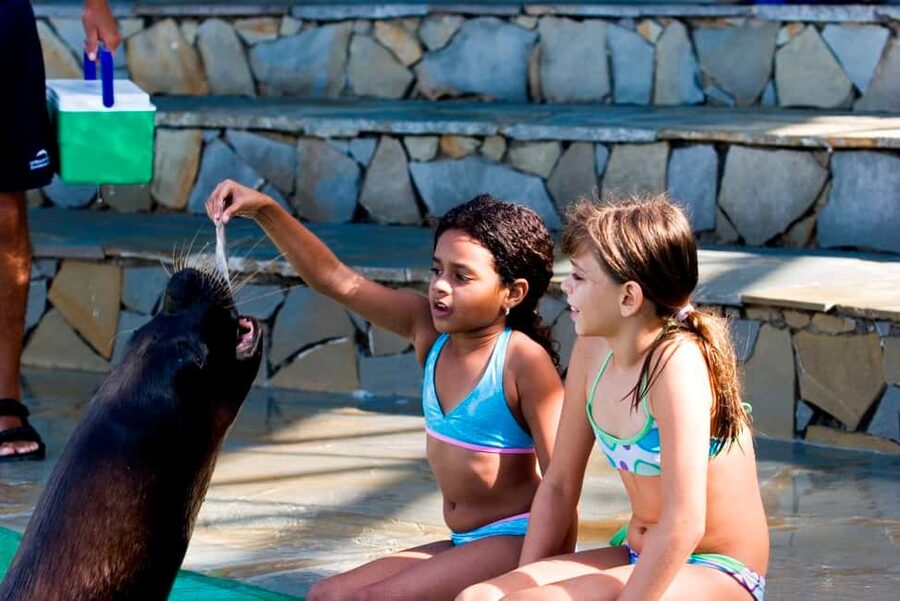 Puerto Plata Ocean World Tickets - Snorkeling in the Tropical Reef Aquarium: fish you can actually see