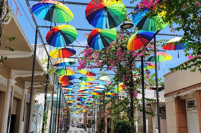 Puerto Plata Private City Tour with Mount Isabel & Rum &Chocolate - Mount Isabel de Torres: cable car views and the national park gardens
