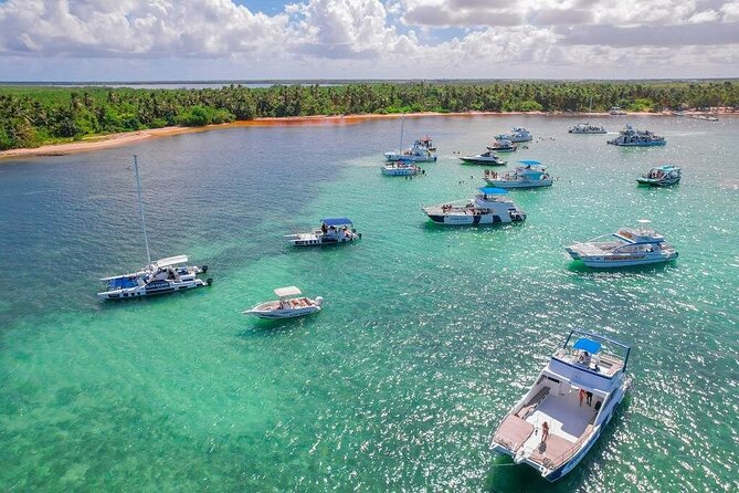 Puerto Plata Private Party Boat and Snorkeling Adventure - Drinks, alcohol rules, and a simple group-friendly flow