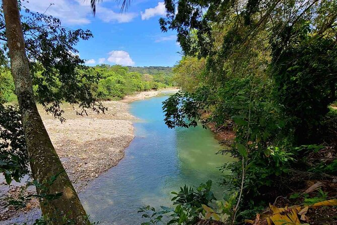 Puerto Plata Rejoya River Excursion Amber Cove Taino Bay Hotels - Puerto Plata’s La Rejoya River Day: The Real Reason It Works