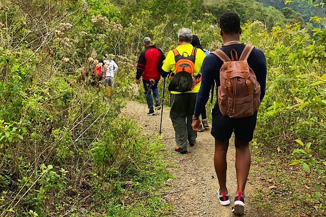 Puerto Plata Rejoya River Excursion Amber Cove Taino Bay Hotels - La Rejoya River Source: Where the Green Quiet Feels Different