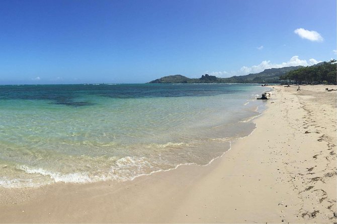 Puerto Plata Shore Excursion: ATV adventure for Amber Cove & Taino Bay Passenger - Key Things to Know Before You Go