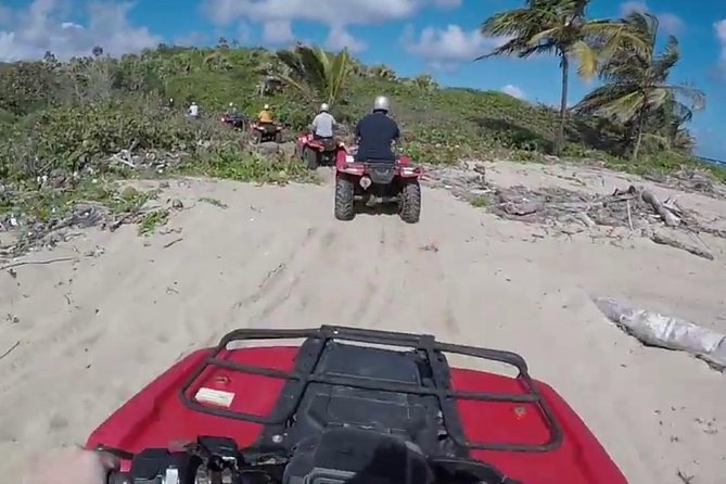 Puerto Plata Shore Excursion: ATV adventure for Amber Cove & Taino Bay Passenger - Amber Cove vs Taino Bay: Meeting Points and Walk Time