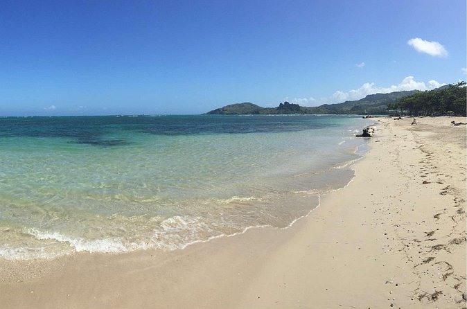 Puerto Plata Shore Excursion: ATV adventure for Amber Cove & Taino Bay Passenger - What You Pay, What You Get: Value at $105