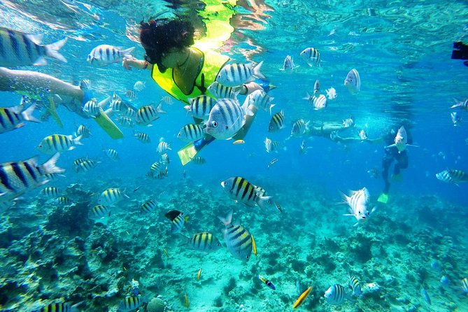 Puerto Plata Shore Excursion, Snorkeling tour & Sosua Beach Day - A Puerto Plata Shore Excursion That Actually Feels Half-Day