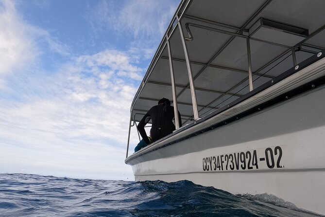 Puerto Plata Shore Excursion, Snorkeling tour & Sosua Beach Day - Stop 1: The Real Start is the Snorkel Setup
