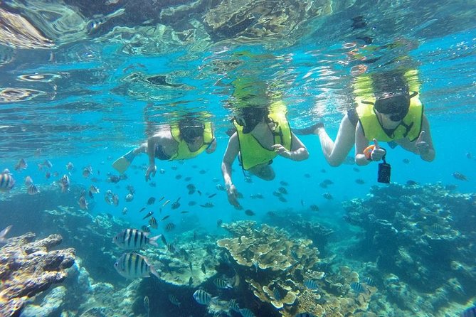 Puerto Plata Shore Excursion, Snorkeling tour & Sosua Beach Day - Stop 3: Eric Tours International Meets You Where the Day Begins