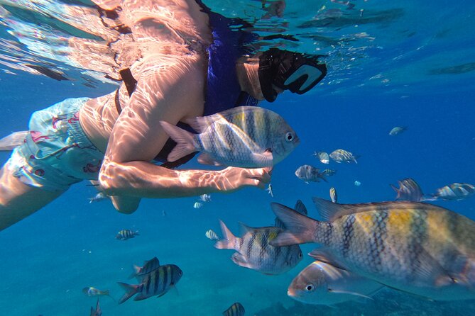 Puerto Plata Shore Excursion, Snorkeling tour & Sosua Beach Day - Two Snorkeling Stops in Sosua Bay: What You Can Expect Under the Surface